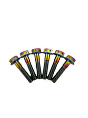 Clutch Cover Bolts | Polaris | Titanium | 102.113