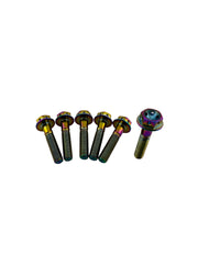 Clutch Cover Bolts | Polaris | Titanium | 102.113