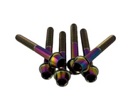 Titanium Clutch Cover Bolts for Polaris P85 Primary Clutch | QTY 6 | 102.117